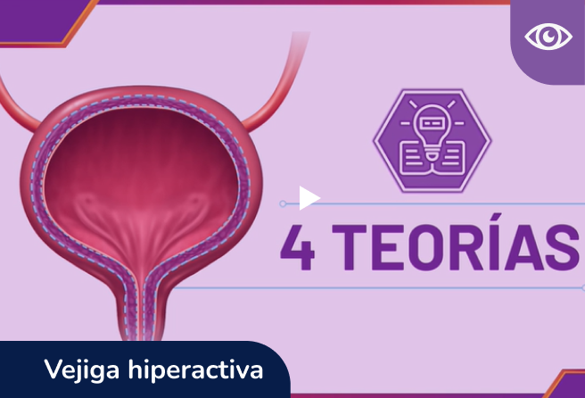Fisiopatología de la Vejiga hiperactiva    